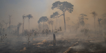 Amazônia e Pantanal registram mais um recorde em queimadas no mês de junho