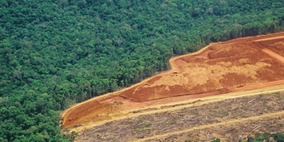 Amazônia perdeu 9,7% de sua vegetação natural em 37 anos
