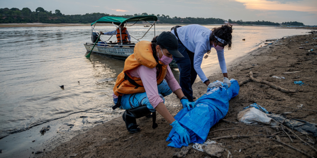 Amazonas: Mortes de botos indicam agravamento da crise climática