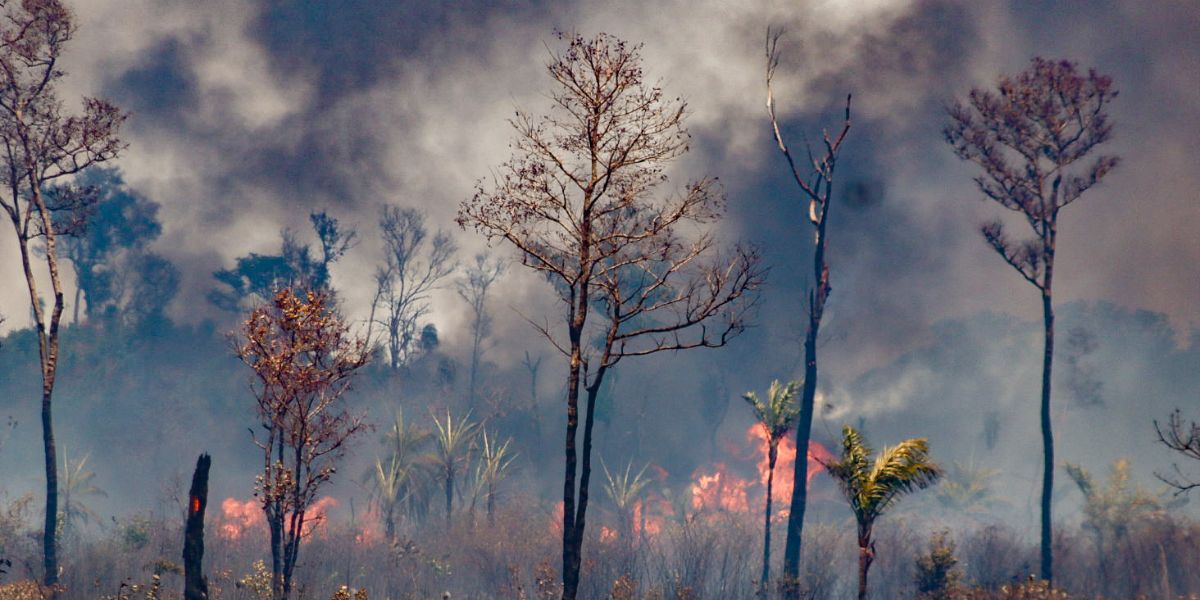 Boletim alerta para crise de seca extrema nas Terras Indígenas da Amazônia Brasileira