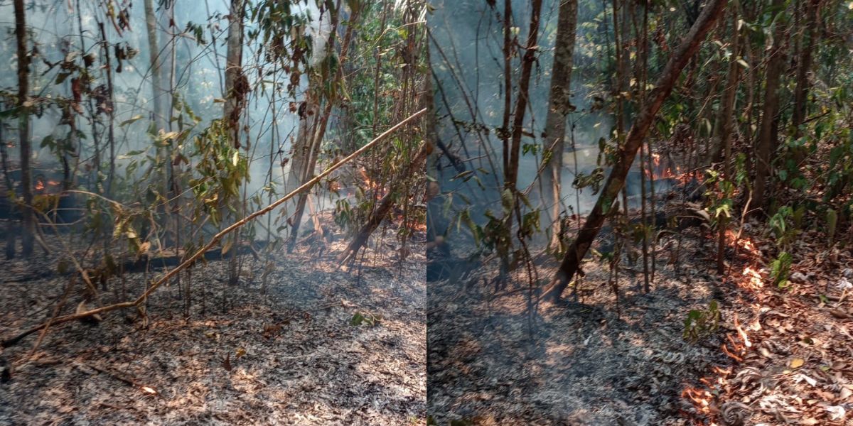 Incêndio atinge Terra Indígena Anambé, no Alto Rio Cairari, em Mojú