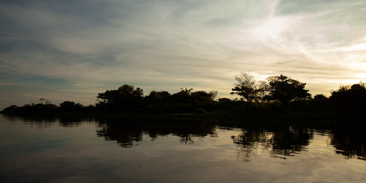 Rede Transformar prorroga inscrições para seleção de projetos de proteção do bioma Amazônico