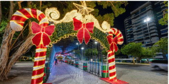 Imagem: Alcides Neto